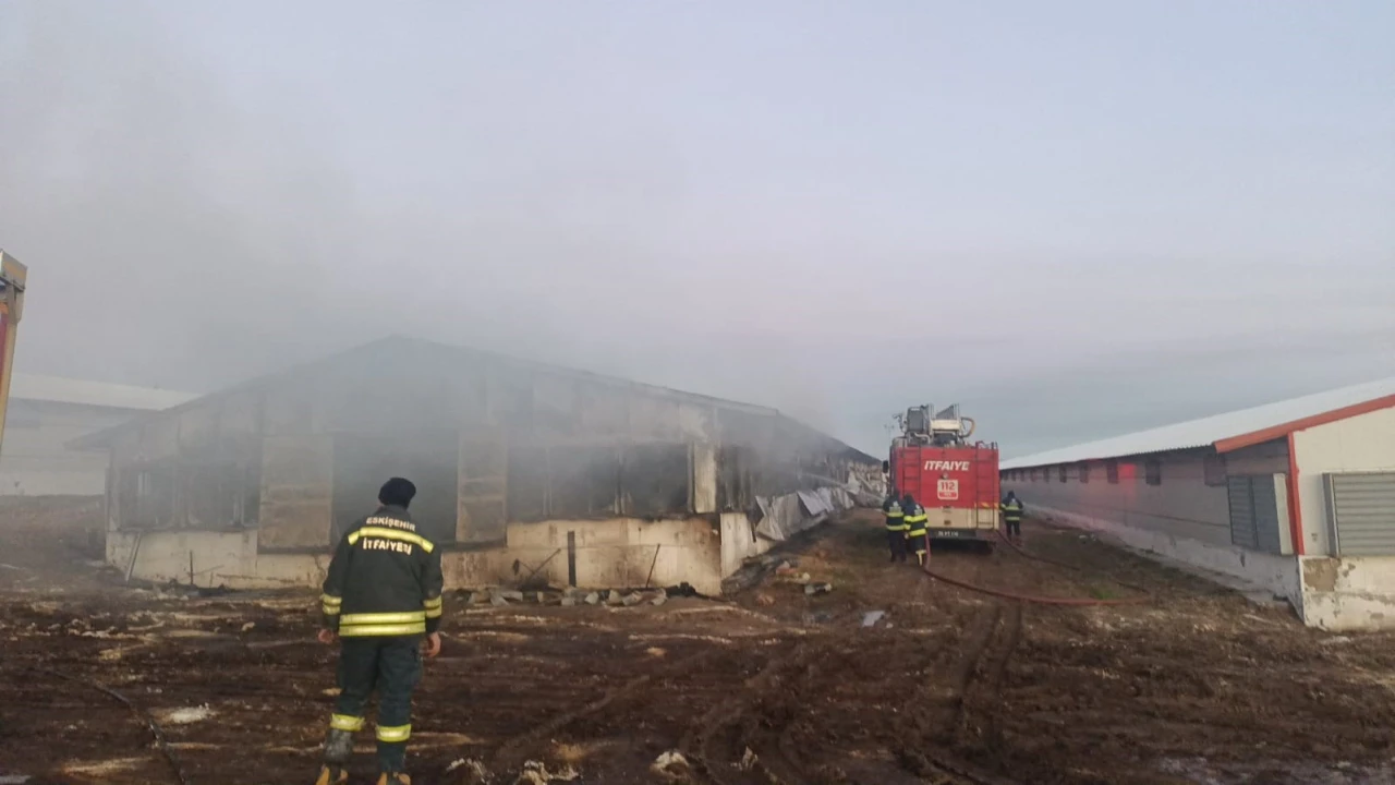 Eskişehir'de Tavuk Çiftliğinde Çıkan Yangın Hasara Yol Açtı