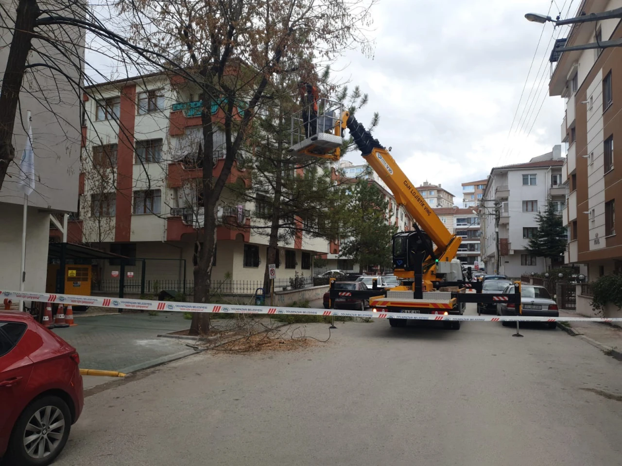 Odunpazarı’nda Ağaç Bakım ve Budama Çalışmaları Sürüyor