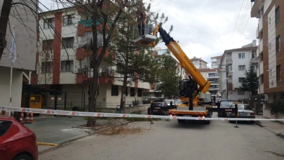 Odunpazarı’nda Ağaç Bakım ve Budama Çalışmaları Sürüyor