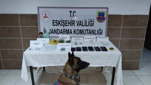 Eskişehir’de 2 İlçede Uyuşturucu Operasyonu: 7 Gözaltı